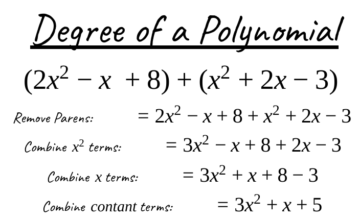 Polynomial Basics Review | Mathematics - Quizizz