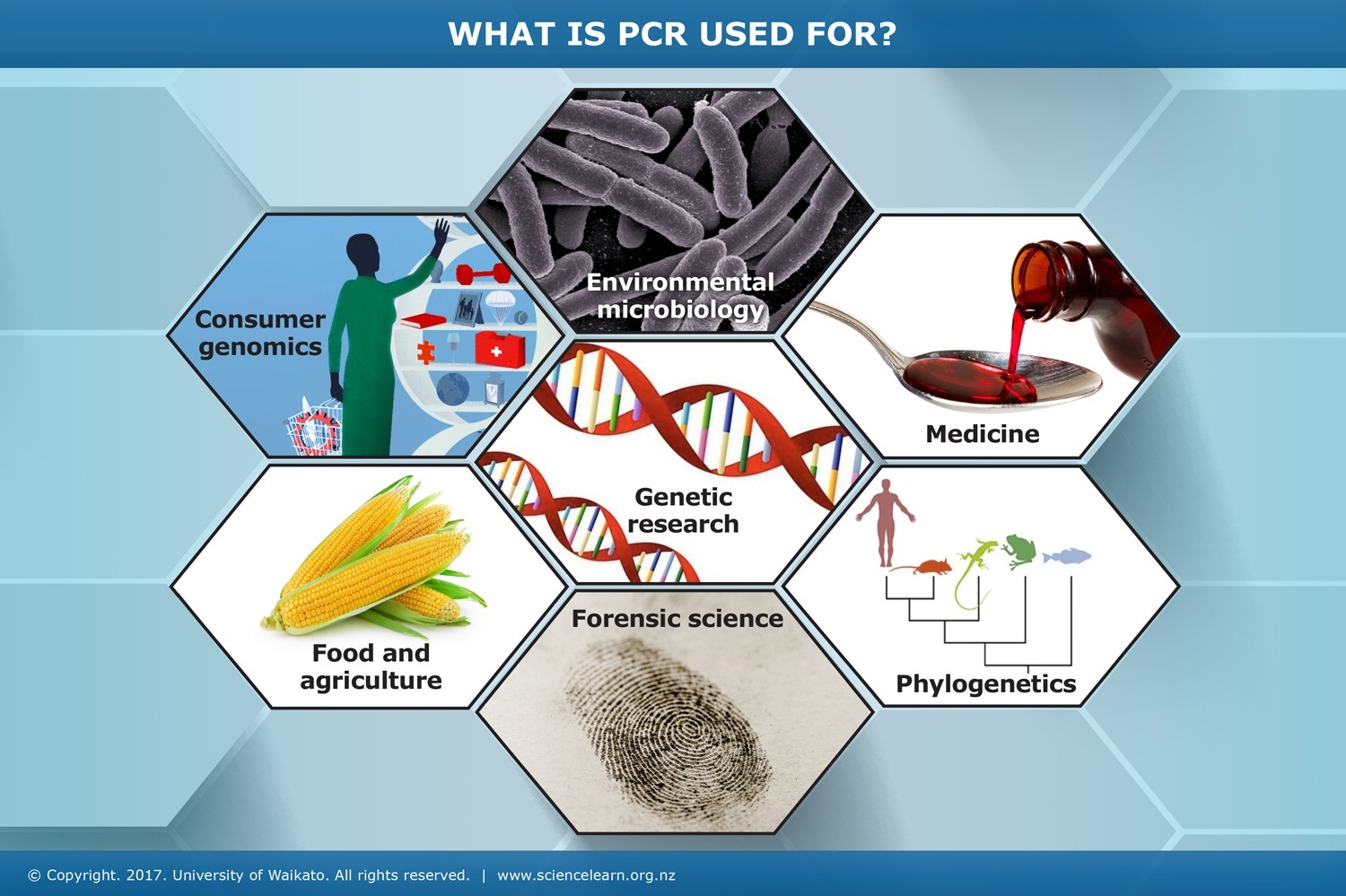 Biotechnology