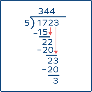 cell division - Grade 5 - Quizizz