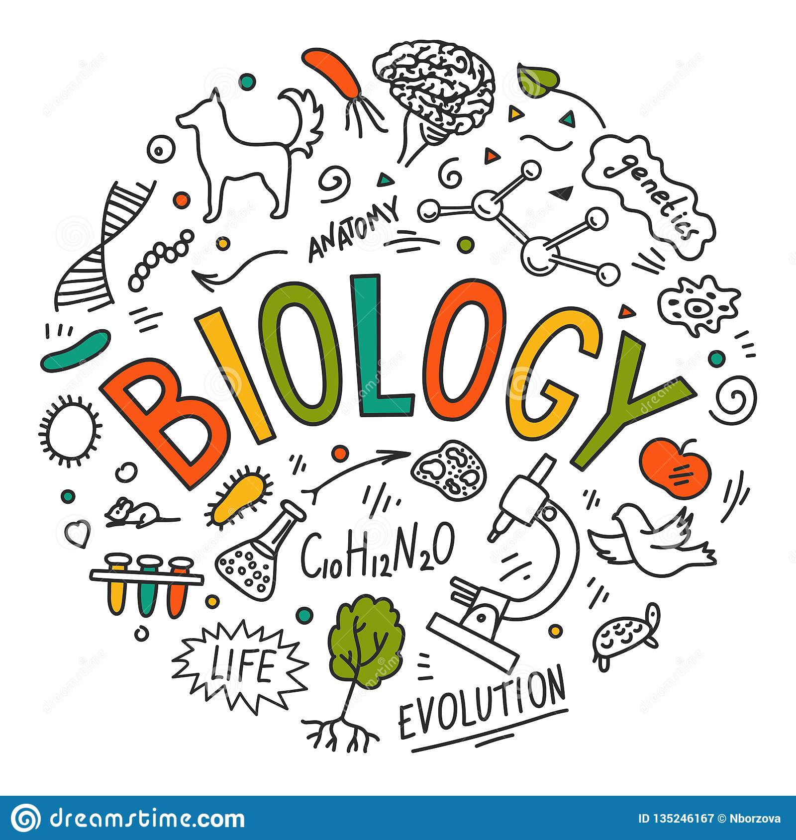 Tugas Biologi Kelas XII | Quizizz