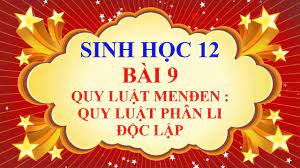 Từ vựng về di truyền kiểu gen và kiểu hình - Lớp 12 - Quizizz