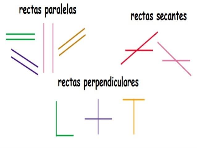 graphing parabolas - Class 5 - Quizizz