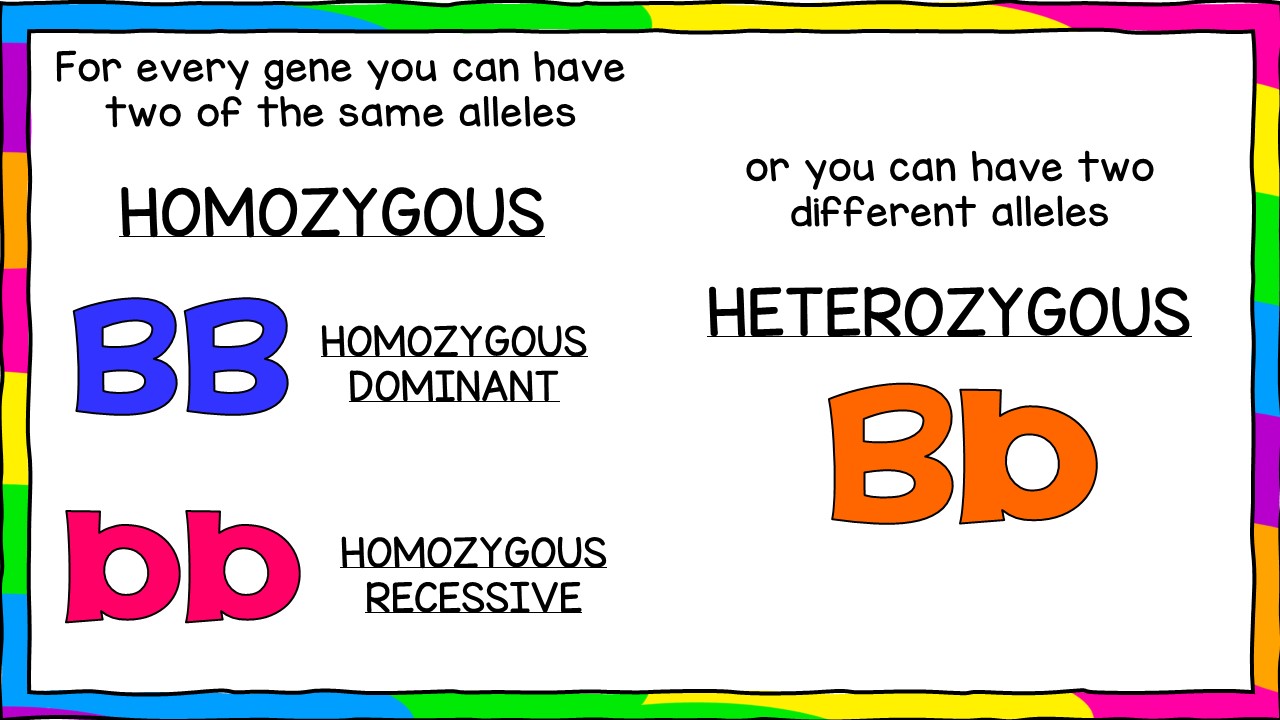 genetics vocabulary dominant and recessive - Class 5 - Quizizz