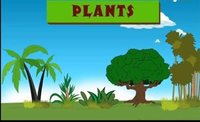 plant cell diagram - Class 1 - Quizizz