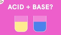 acid base reactions - Year 1 - Quizizz