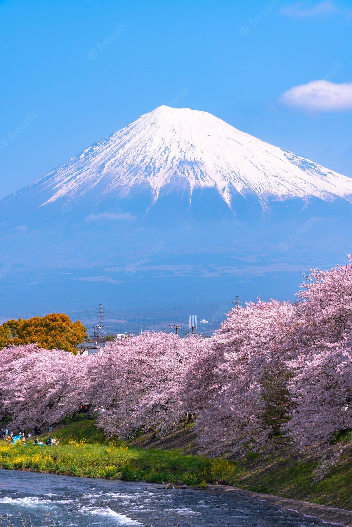 średniowieczna Japonia - Klasa 7 - Quiz