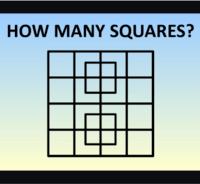 punnett squares - Class 4 - Quizizz