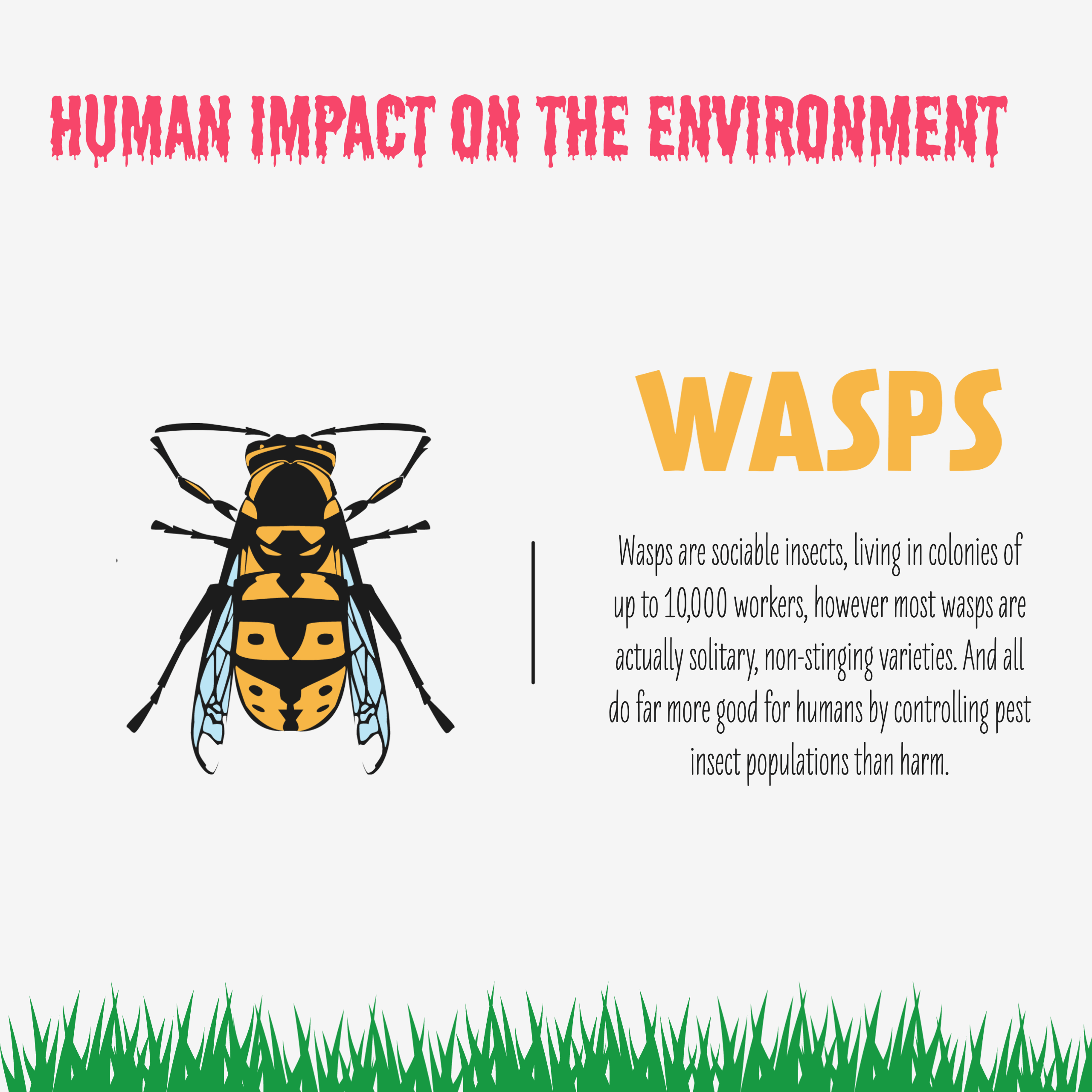 human-impact-on-the-environment-quizizz