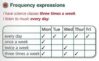 Frequency Expressions Grammar Quiz Quizizz