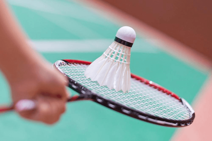 Badminton - Educatie fizica si sport