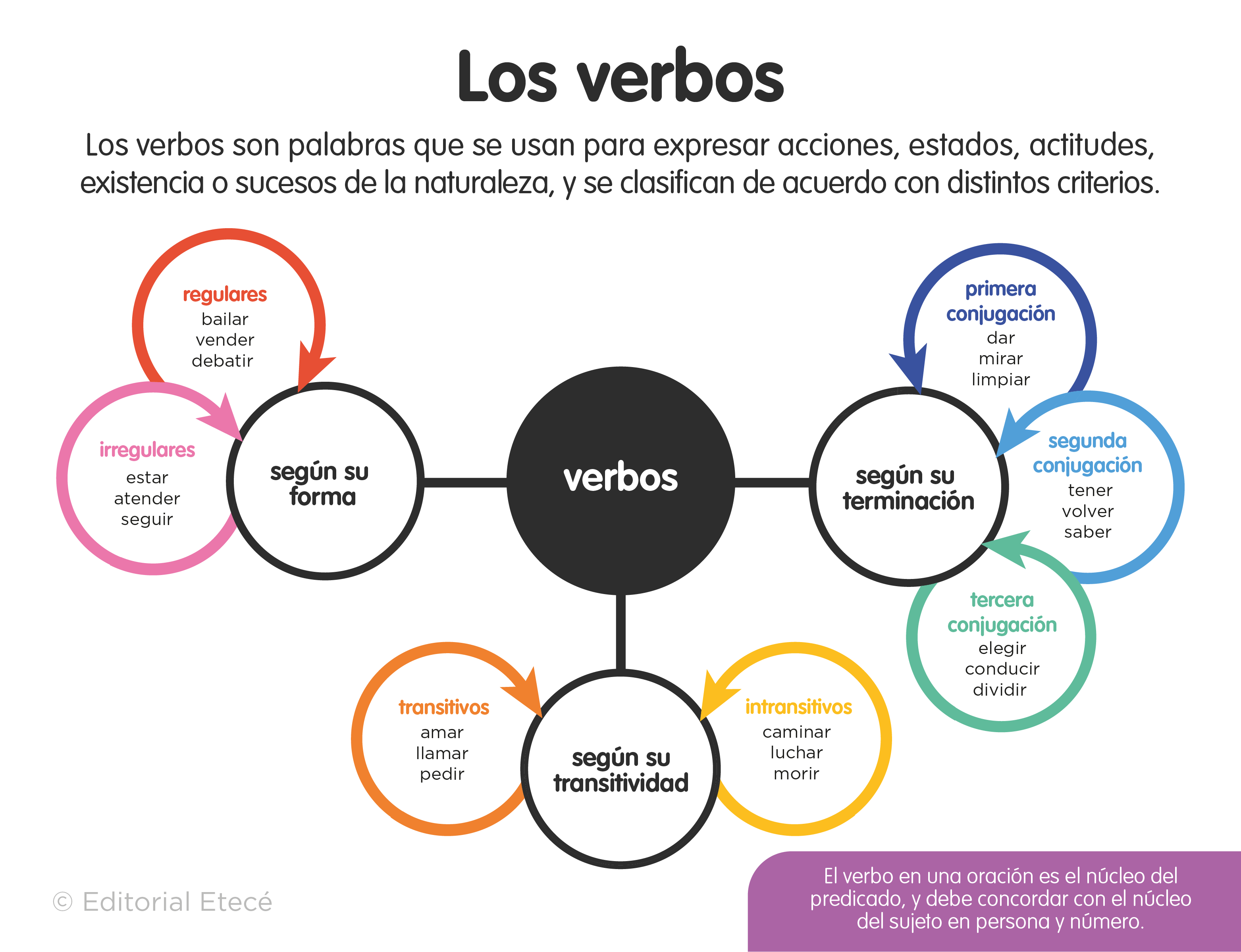 Verbos de ayuda - Grado 6 - Quizizz