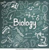 human biology - Class 11 - Quizizz