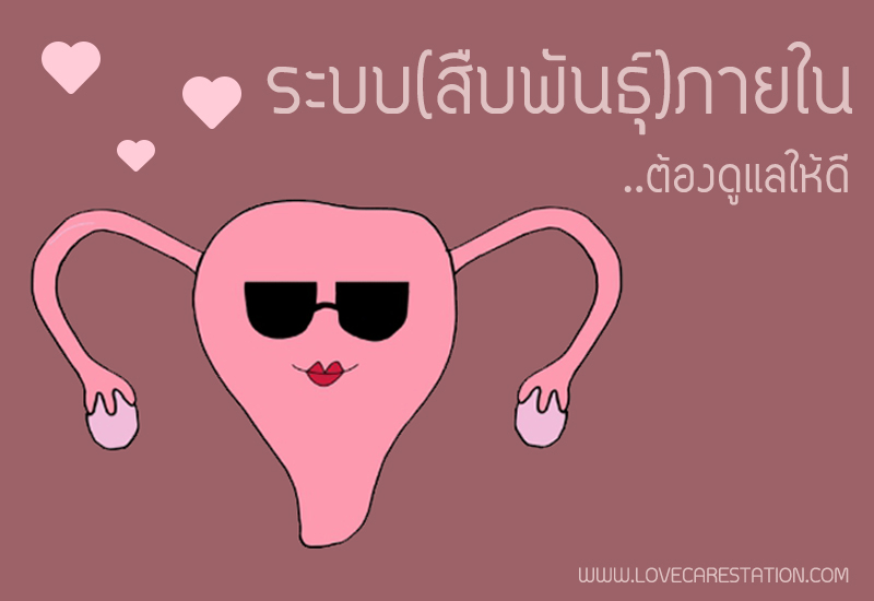 ระบบสืบพันธุ์ Flashcards - แบบทดสอบ