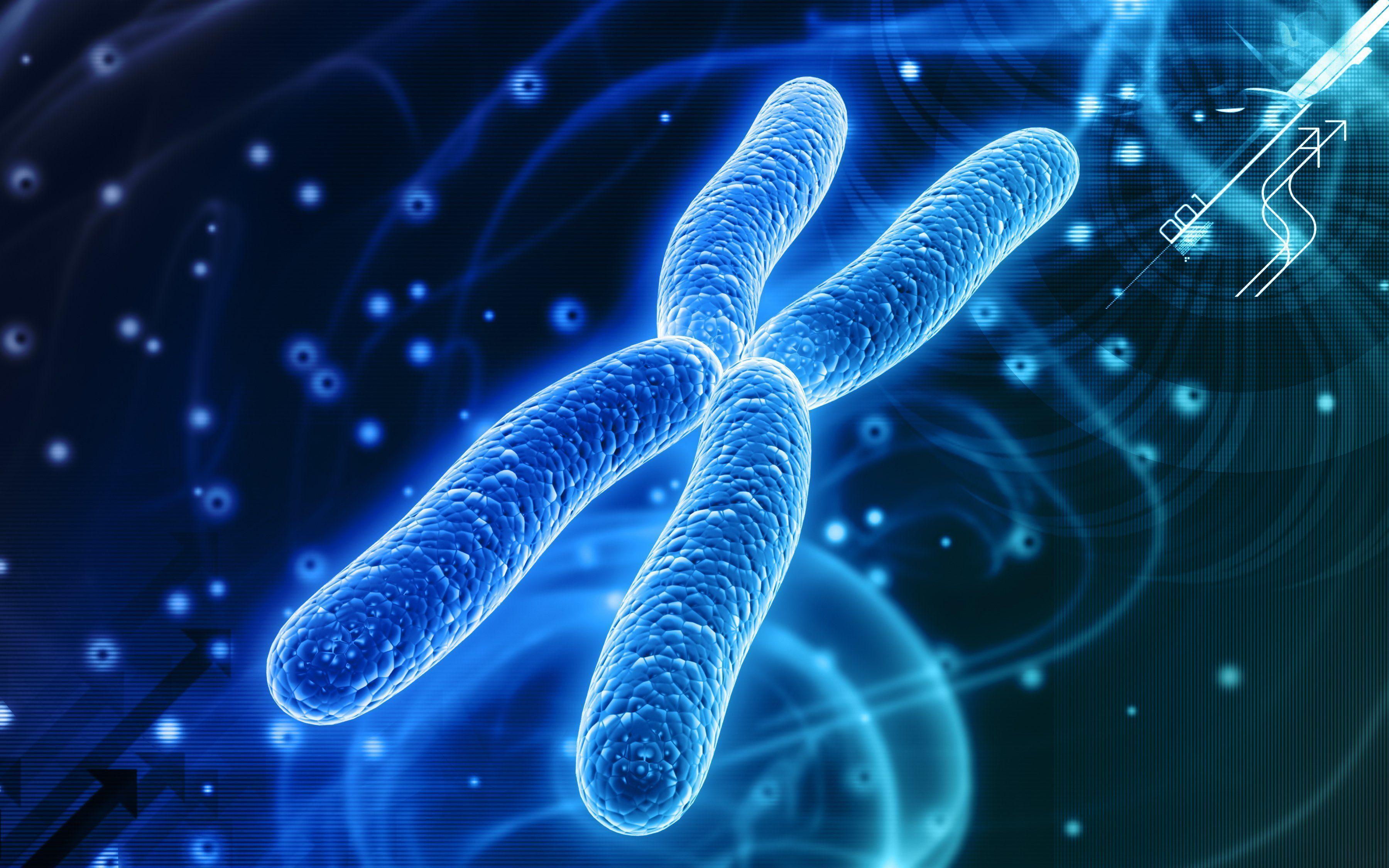 chromosome structure and numbers - Class 12 - Quizizz