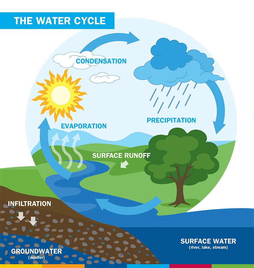 How Does Precipitation Condensation And Evaporation Work Together In The Water Cycle