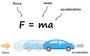 Newton's Second Law Quick Check