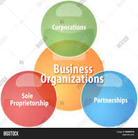 Types of Business Organization | Other Quiz - Quizizz
