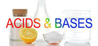 ácidos y bases - Grado 6 - Quizizz