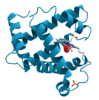 biología vegetal Tarjetas didácticas - Quizizz