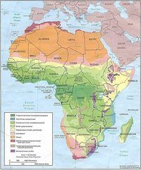 countries in africa Flashcards - Quizizz