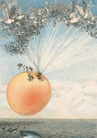 James and the Giant Peach Chapter 1-20