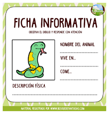 FICHA INFORMATIVA