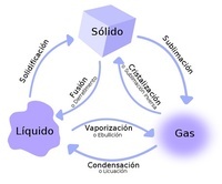 estados de la materia y fuerzas intermoleculares - Grado 5 - Quizizz