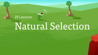 seleccion natural - Grado 7 - Quizizz