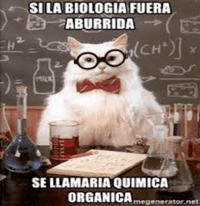 química orgânica Flashcards - Questionário