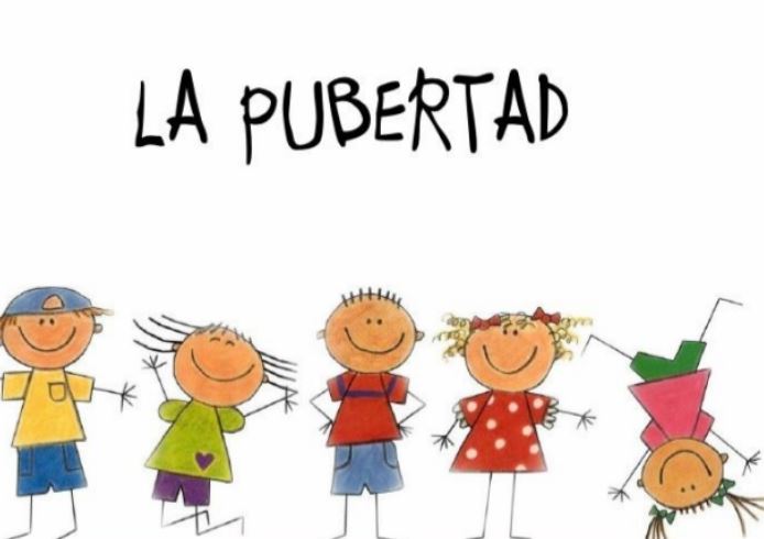 La Pubertad - Ciclo V | Quizizz