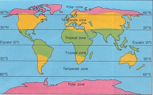 world climate and climate change Flashcards - Quizizz