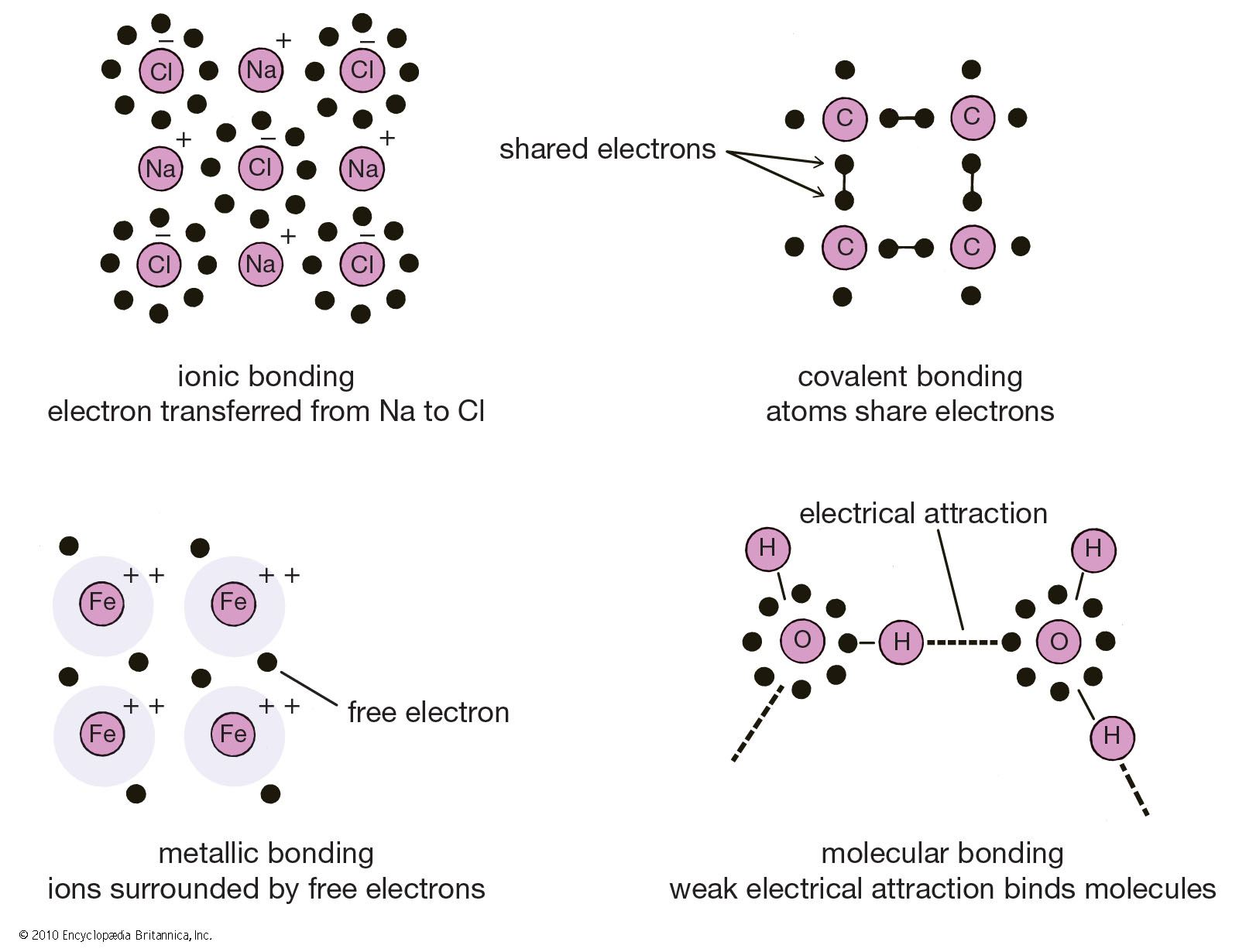 3.1.3.4 Bonding + physical properties Quiz - Quizizz