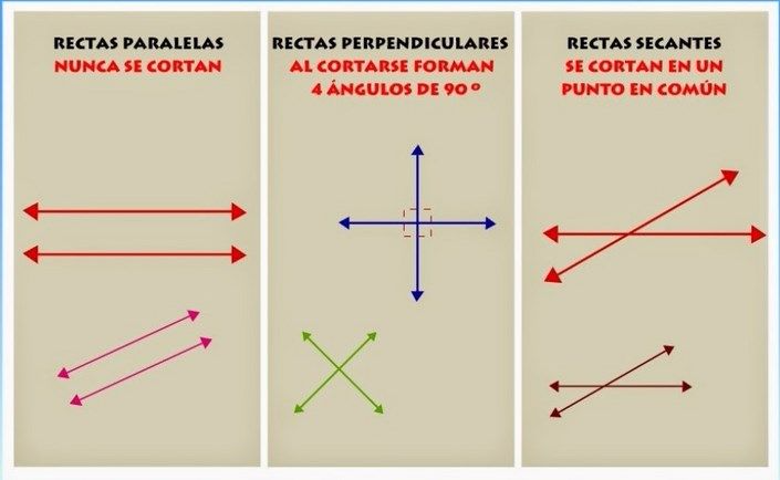 Rectas Paralelas y Perpendiculares - Grado 7 - Quizizz