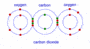 Chemical Bonds