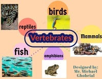 vertebrates and invertebrates - Year 4 - Quizizz