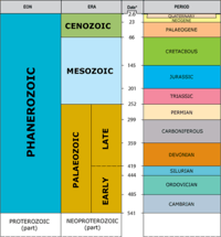 fossils - Grade 11 - Quizizz