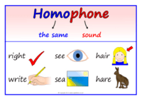 Homophones and Homographs - Class 10 - Quizizz