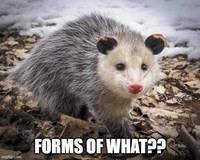 Forms of Sum and Possum