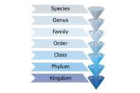 bacteria and archaea - Year 8 - Quizizz