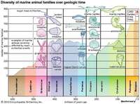 history of life on earth - Class 12 - Quizizz