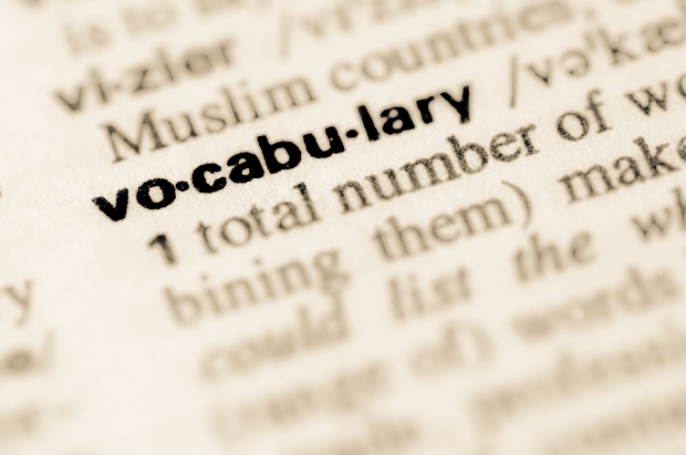 Vocabulary - Class 11 - Quizizz