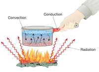 heat transfer and thermal equilibrium - Class 10 - Quizizz