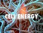 Cell Energy & Cell Transport