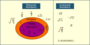 Rational and Irrational Numbers