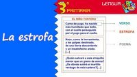 Tipos de frases Flashcards - Questionário