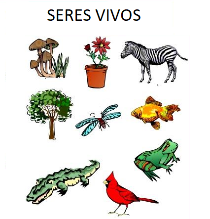 Seres vivos y sus necesidades. | Science - Quizizz