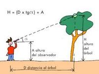 segundas derivadas de funciones trigonométricas - Grado 3 - Quizizz