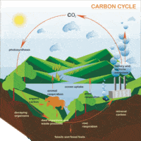 propriedades do carbono - Série 11 - Questionário