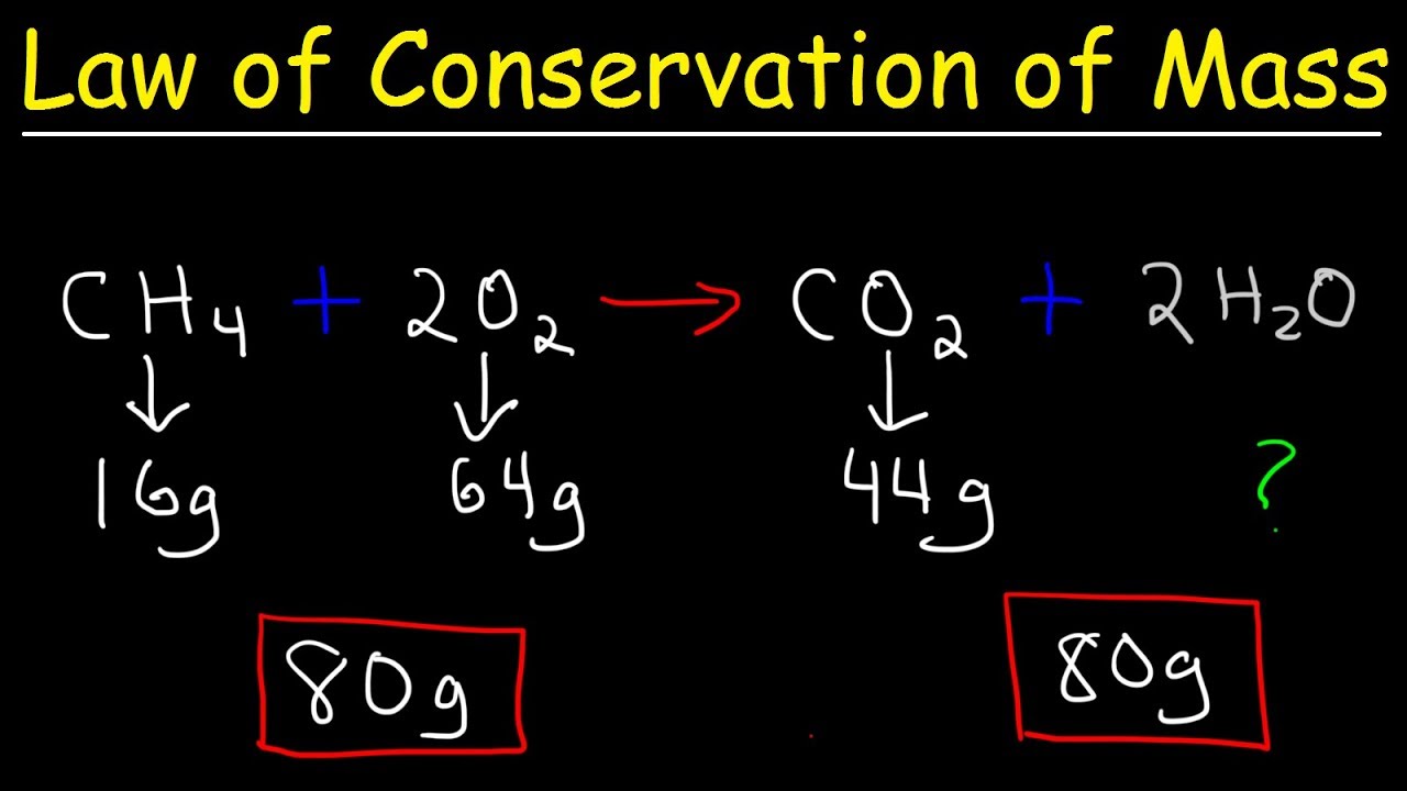 Modeling Conservation of Mass questions & answers for quizzes and tests ...