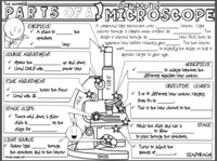 Dodawanie i liczenie - Klasa 7 - Quiz